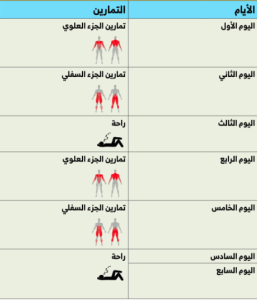 جدول تمارين حديد اسبوعي جاهز للطباعة