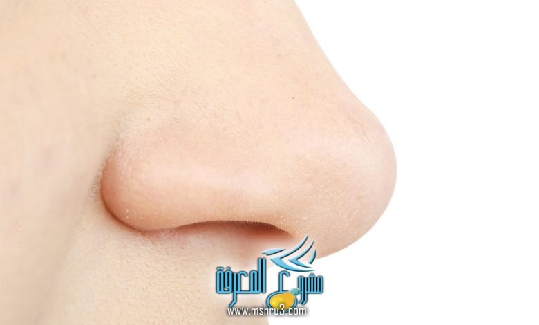 تصغير الأنف