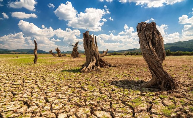 مقدمة بحث عن الجفاف