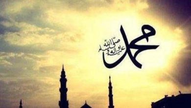 بحث عن النبي محمد