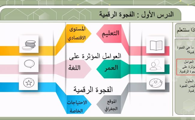 العوامل المؤثرة على الفجوة الرقمية