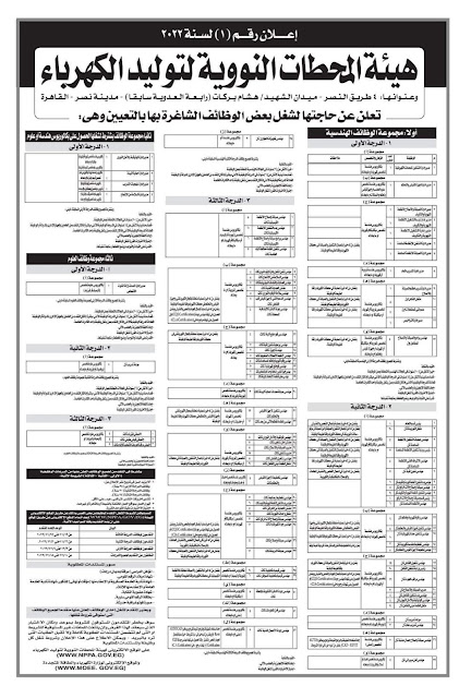 وظائف وزارة الكهرباء وهيئة المحطات النووية لتوليد الكهرباء 2022 للمؤهلات العليا
