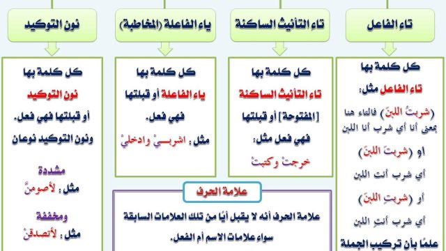 من علامات الفعل