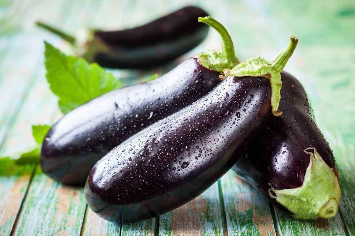 Mìneachadh mionaideach air eggplant ann am bruadar - Pròiseact Eòlais