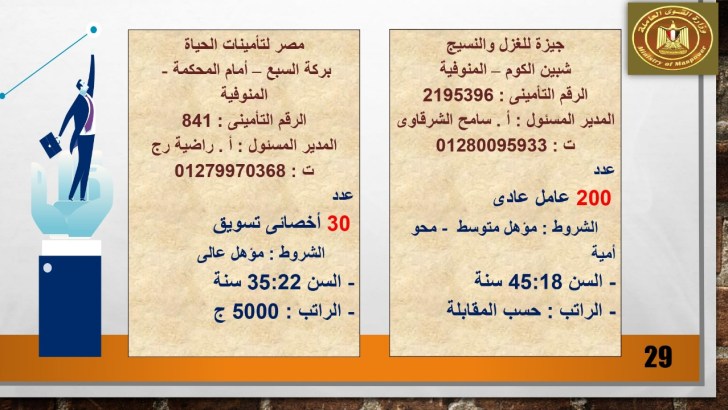 وزارة القوى العاملة توفر أكثر من 4500 وظيفة خالية برواتب تصل 6000 جنية