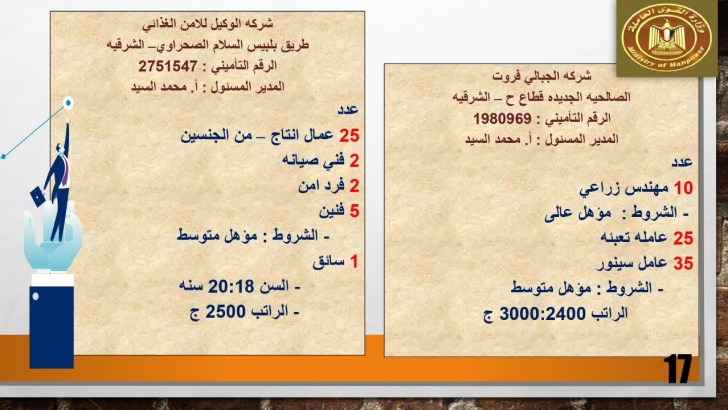 وزارة القوى العاملة توفر أكثر من 4500 وظيفة خالية برواتب تصل 6000 جنية