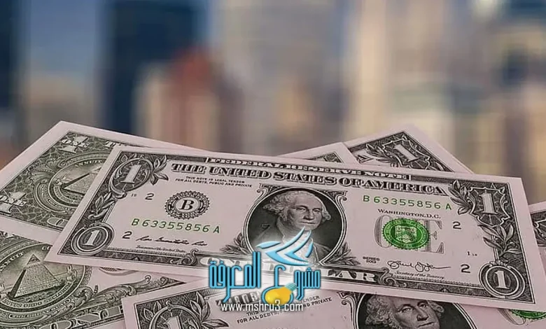 ما هو سهم الثراء في السوق الأمريكي