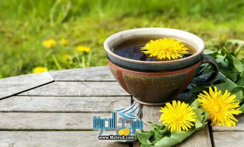 قهوة الهندباء