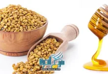 فوائد الحلبة للرجال للبروستاتا