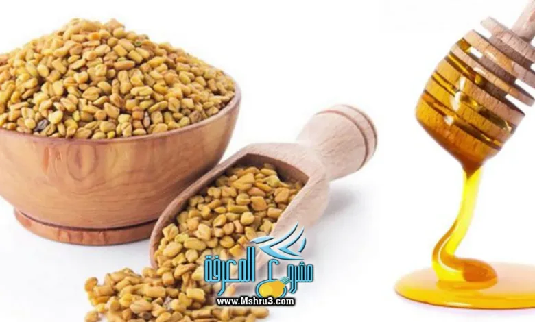 فوائد الحلبة للرجال للبروستاتا