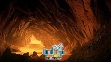 قصة أصحاب الغار الثلاثة