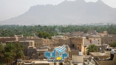 معلومات عن نزوى