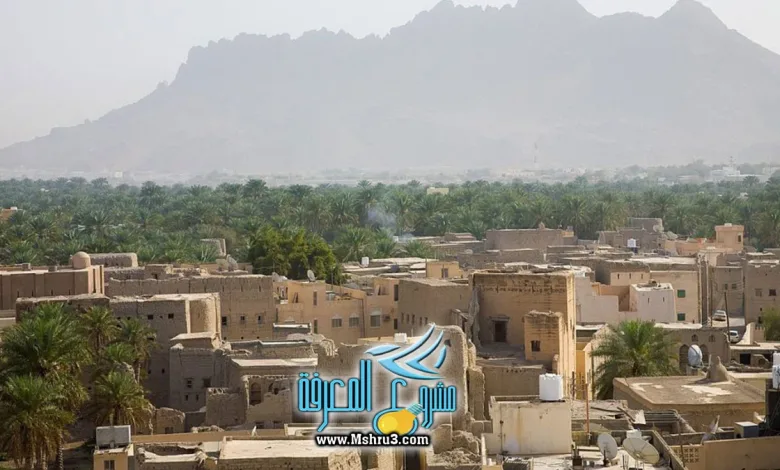 معلومات عن نزوى