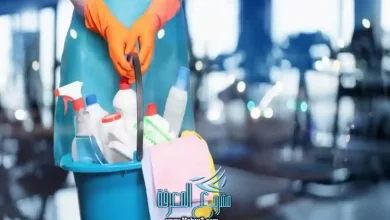 عمالة مساندة منزلية