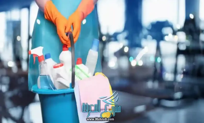 عمالة مساندة منزلية