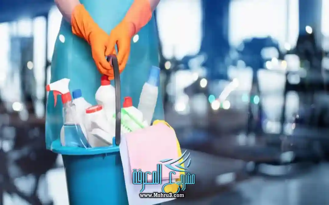 عمالة مساندة منزلية